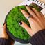 MOOSMOOS „Touchpoint“ Longevity Edition mit Geschenkverpackung