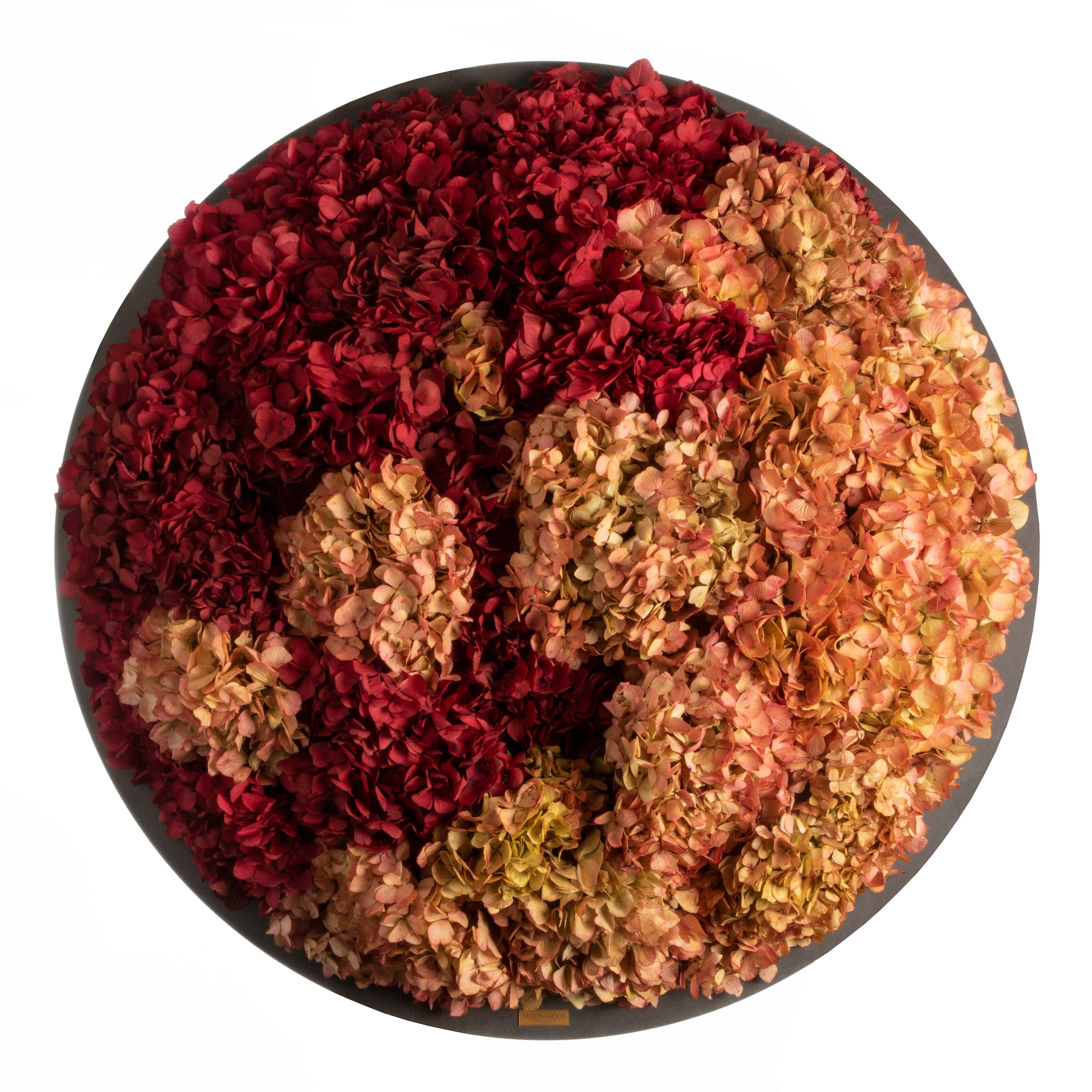 Moosbild Hortensien rot / creme - 2