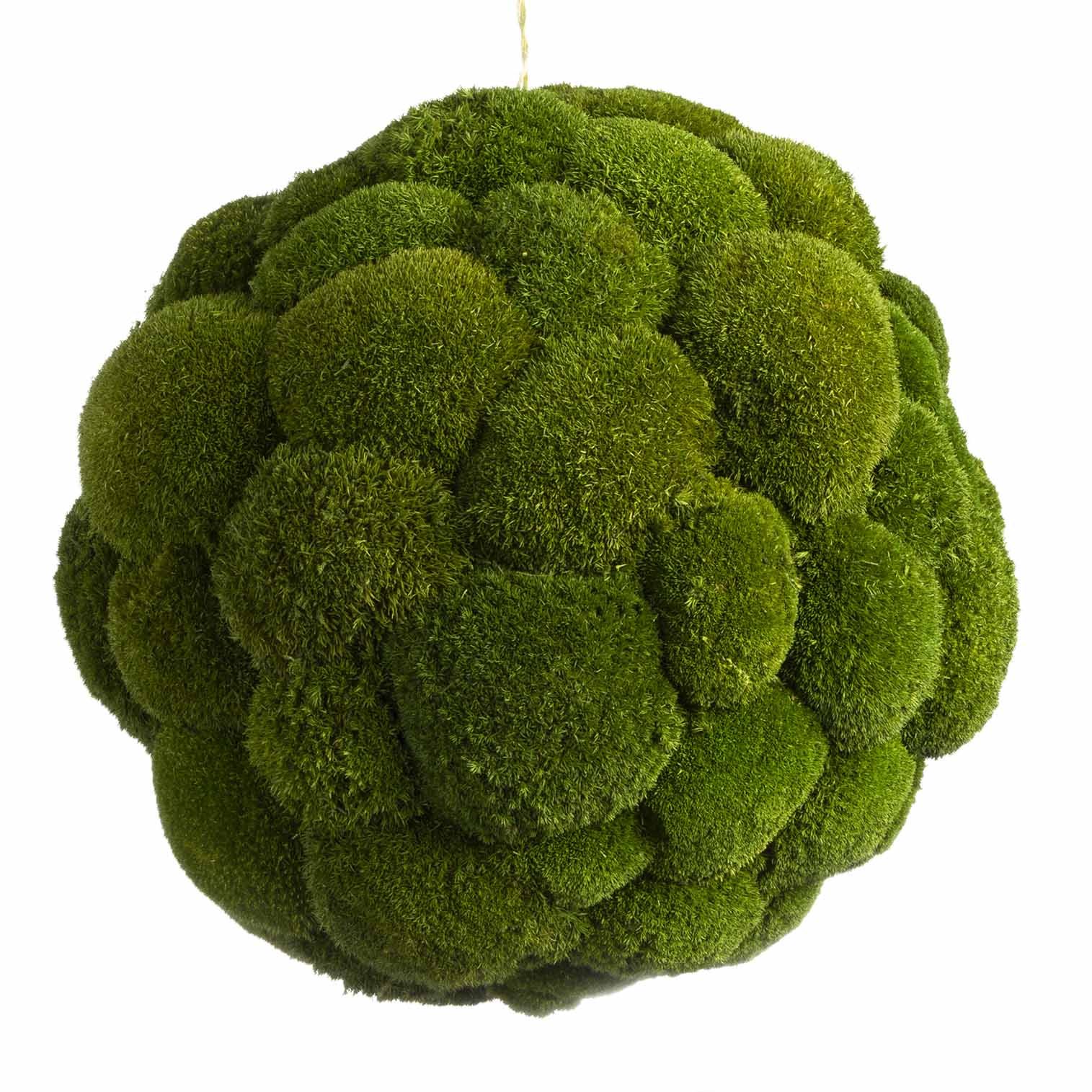 Moosball mit Ballenmoos