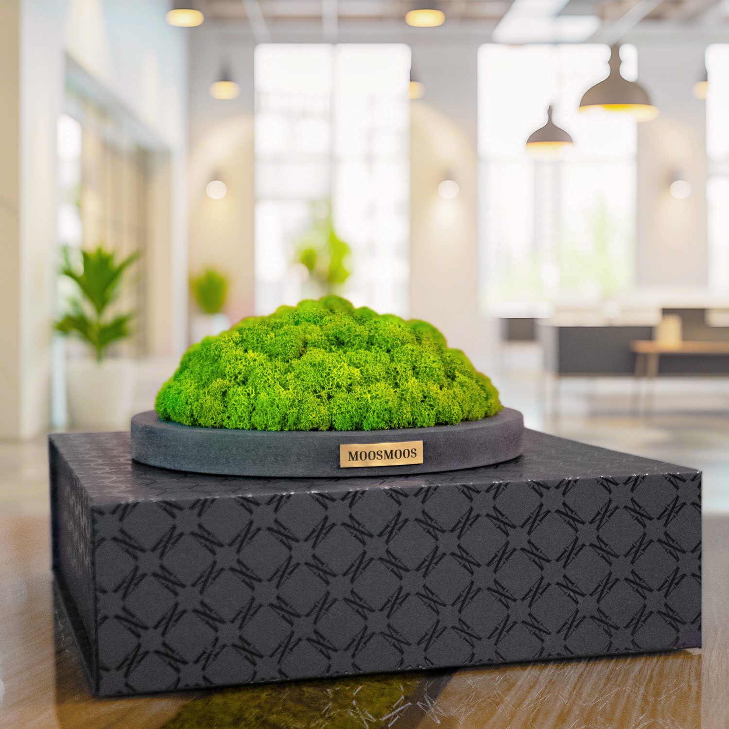 MOOSMOOS „Touchpoint“ Longevity Edition mit Geschenkverpackung