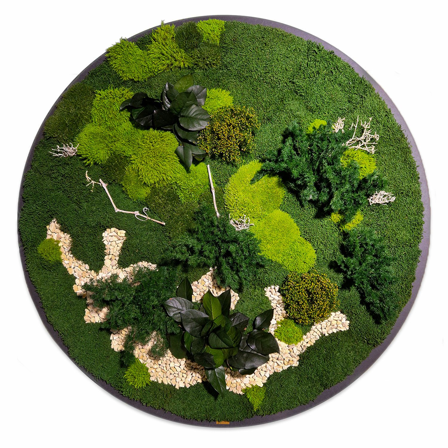 Moosbild Gigant Plateau