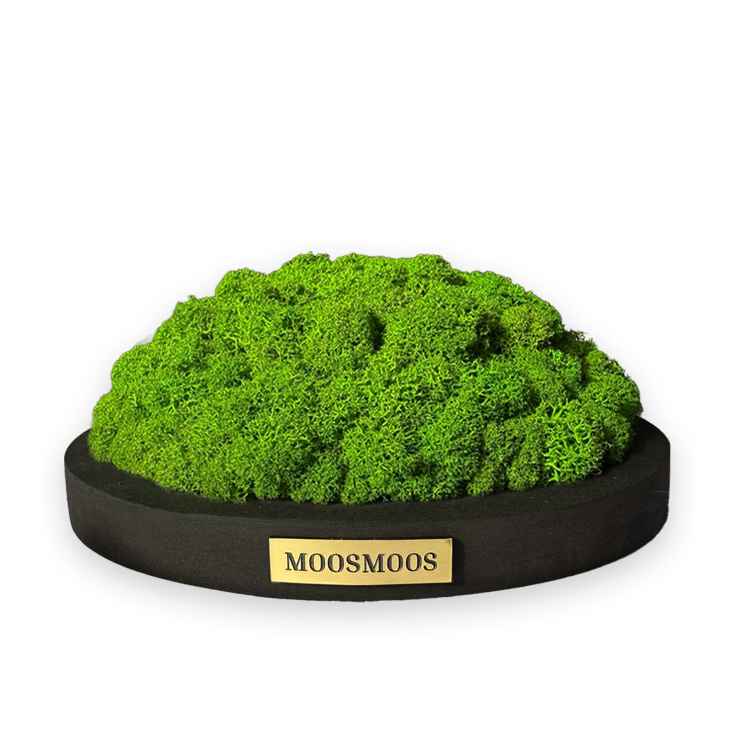 MOOSMOOS „Touchpoint“ Longevity Edition mit Geschenkverpackung
