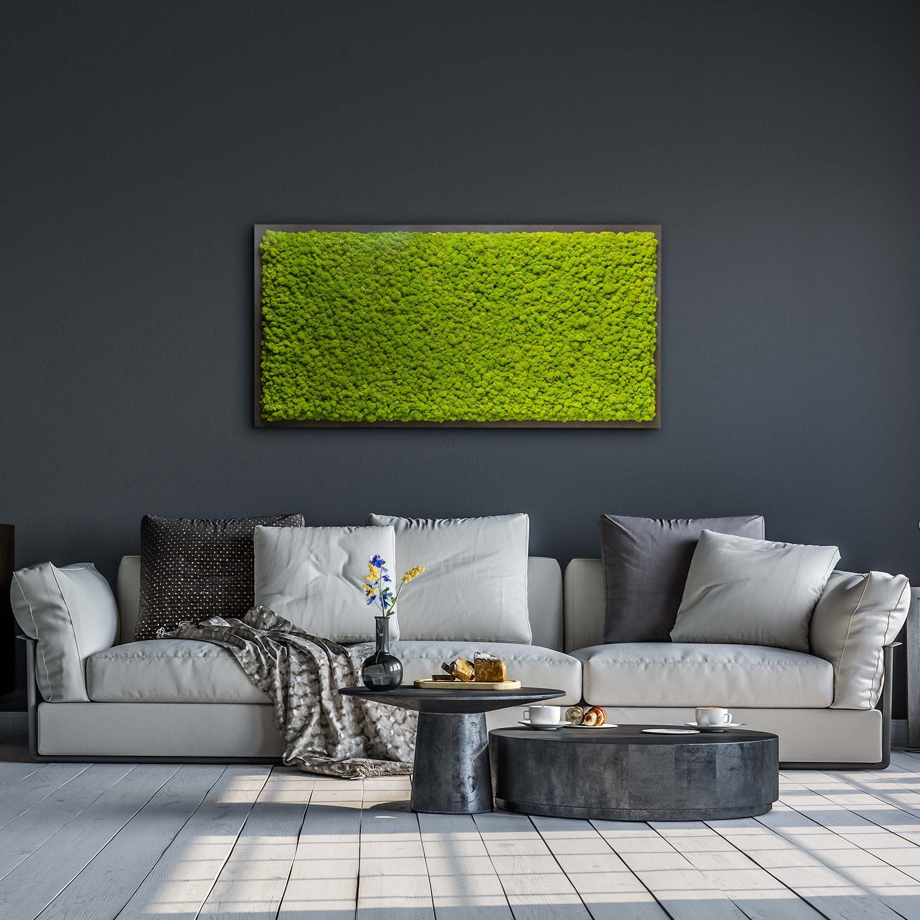 Moosbild Gigant Islandmoos 150 x 75 cm auf Holzfaserplatte anthrazit - 1