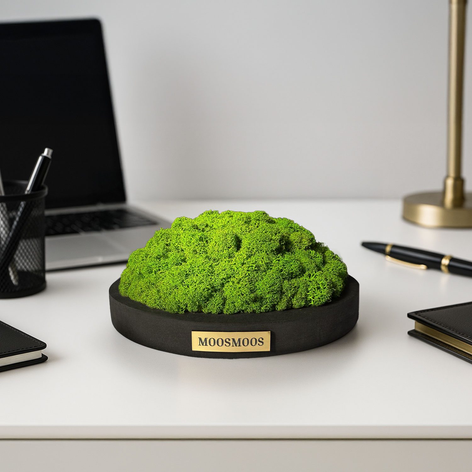 MOOSMOOS „Touchpoint“ Longevity Edition mit Geschenkverpackung