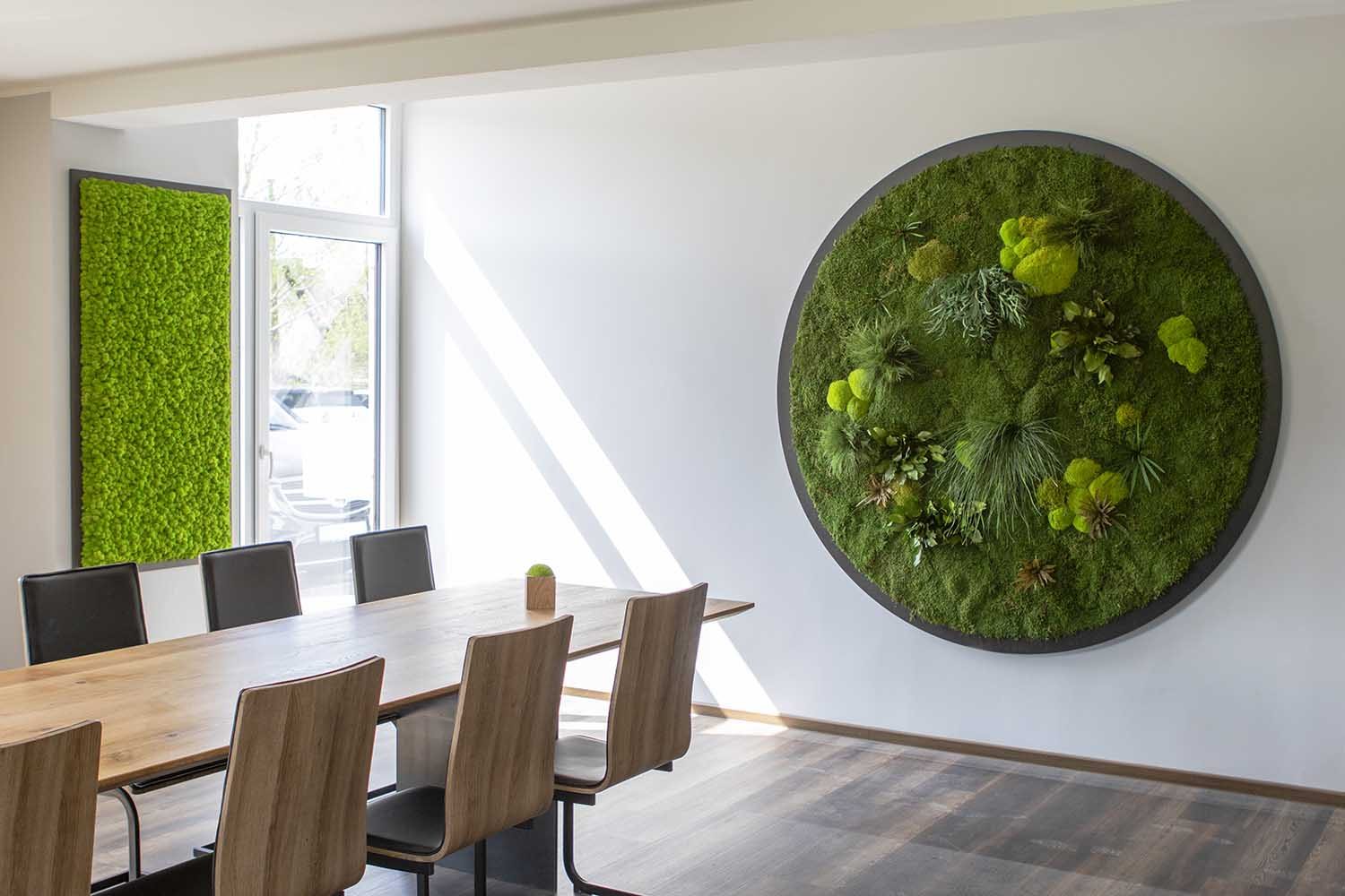 Moosbild Gigant Rund Nature Eye London No. 4 Pflanze auf Holzfaserplatte schwarz lackiert matt - 2