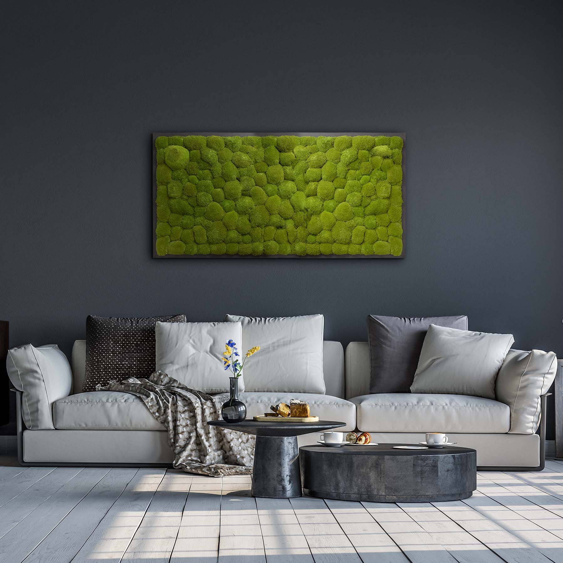 Moosbild Gigant Kugelmoos 150 x 75 cm auf Holzfaserplatte anthrazit - 1