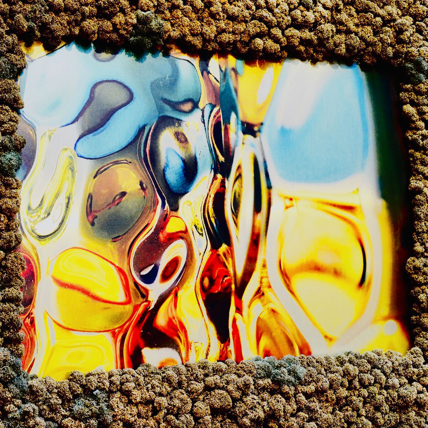Moos & Kunst 