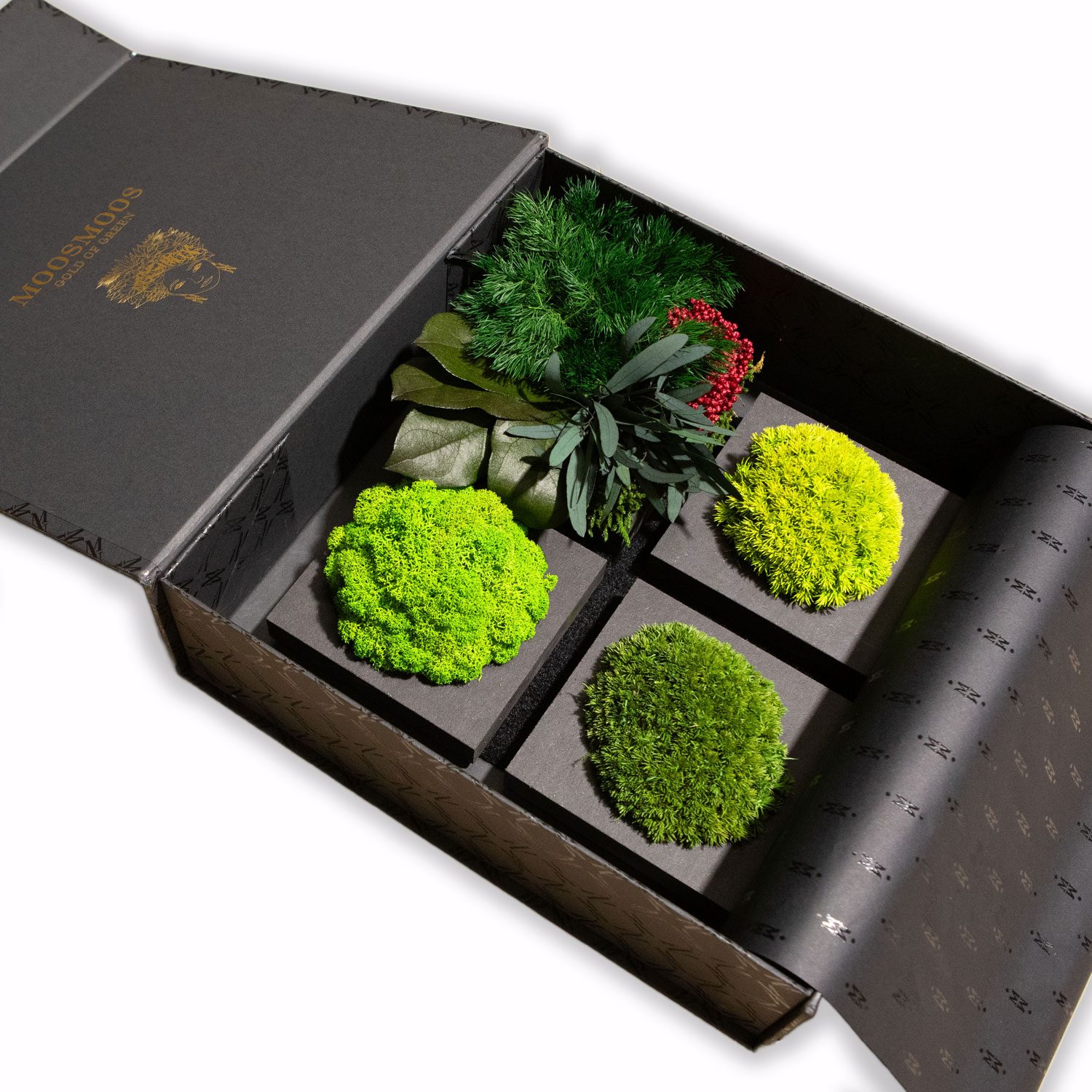 MOOSMOOS Musterbox