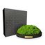 MOOSMOOS „Touchpoint“ Longevity Edition mit Geschenkverpackung