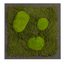 Moosbild mit Kugelmoos und Waldmoos - 35 x 35 cm - Holzfaserplatte anthrazit - 2