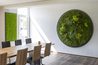Moosbild Gigant Rund Nature Eye London No. 4 Pflanze auf Holzfaserplatte schwarz lackiert matt - 2