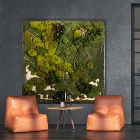 Moosbild Gigant Plateau mit versch. Moosen - 200 x 200 cm Pflanzen & Moos Mix auf Holzfaserplatte schwarz lackiert matt - 1