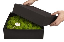 Amalia in Geschenkverpackung - 25 x 25 cm - Apfelgrün - 1