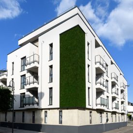 Greenovation - Fassadenbegrünung