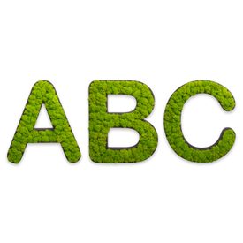Buchstaben mit Islandmoos
