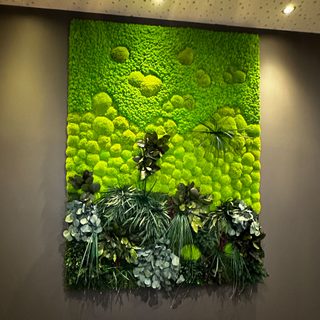 Moosbild