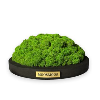 MOOSMOOS „Touchpoint“ Longevity Edition mit Geschenkverpackung