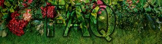 FAQ - Fragen und Antworten