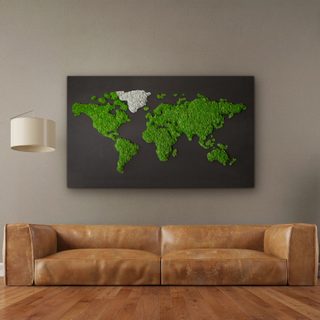 Moosbild 