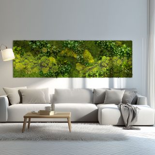 Moosbild