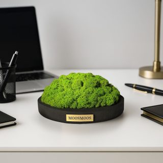 MOOSMOOS „Touchpoint“ Longevity Edition mit Geschenkverpackung