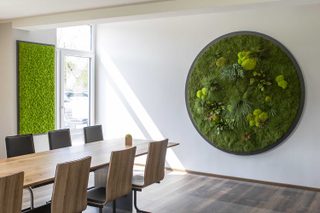 Moosbild Gigant Rund Nature Eye London No. 4 Pflanze auf Holzfaserplatte schwarz lackiert matt - 2