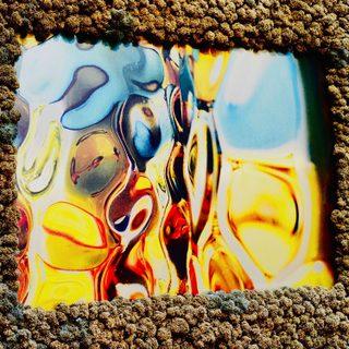Moos & Kunst 