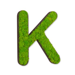 Buchstaben mit Islandmoos