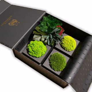 MOOSMOOS Musterbox
