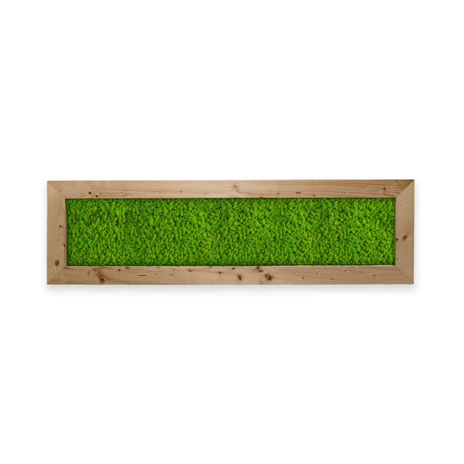 Deal: Moosbild mit Islandmoos