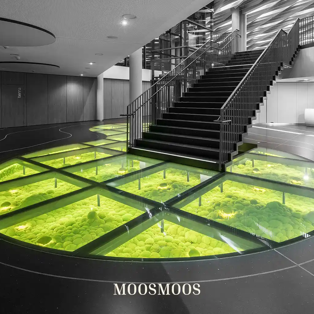 Moosprojekt