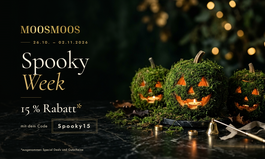 Spooky Week 👻 jetzt 15% auf alle* Moosbilder sparen mit dem Code spooky15