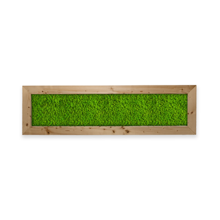 Deal: Moosbild mit Islandmoos